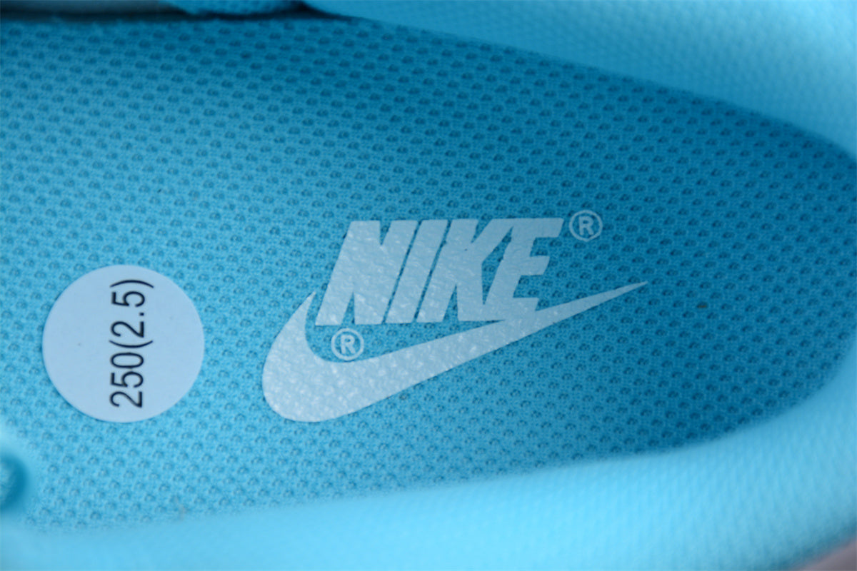 Nike SB Dunk Low White & Glacier Blue