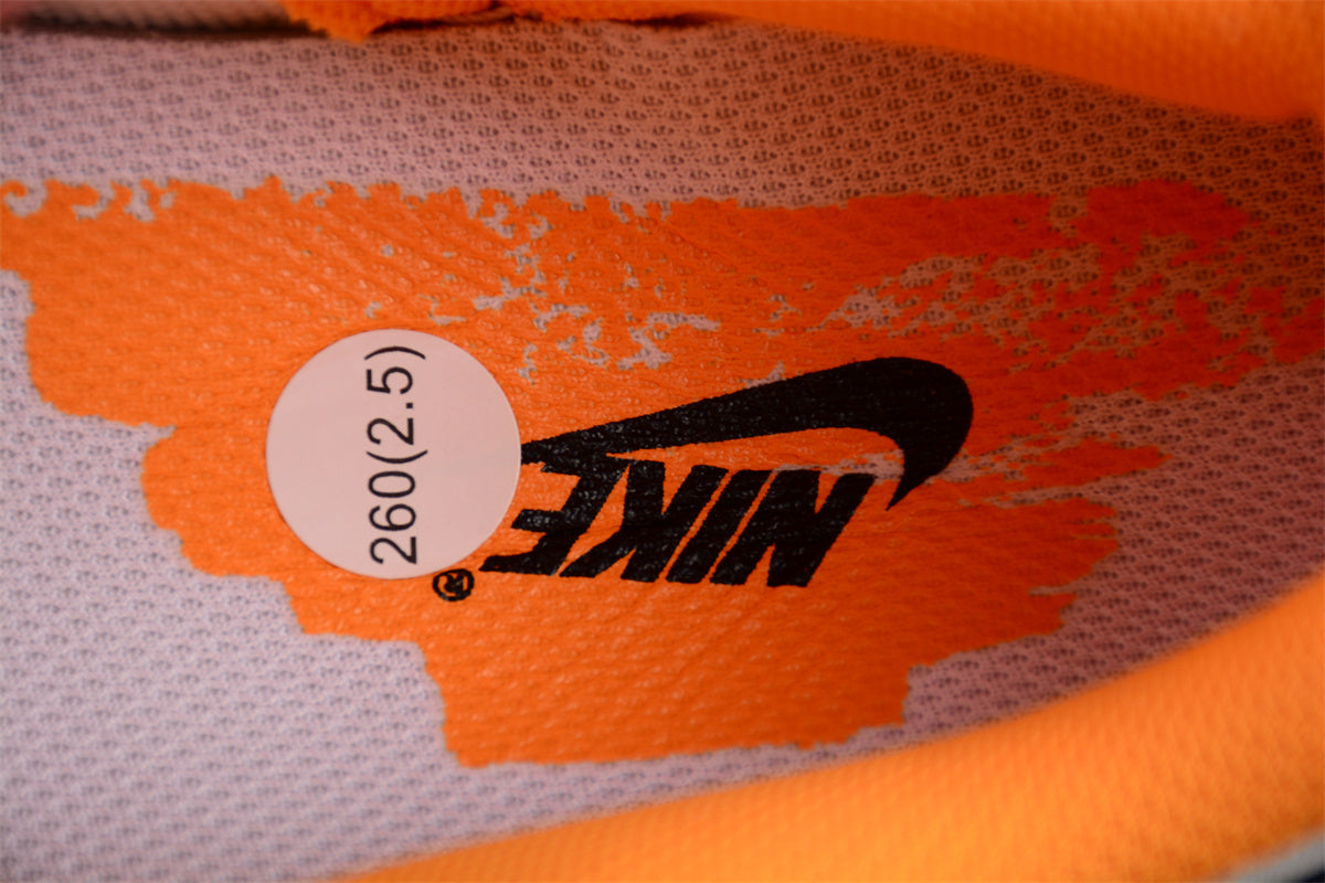 Nike Dunk Low "Wear and Tear" Orange