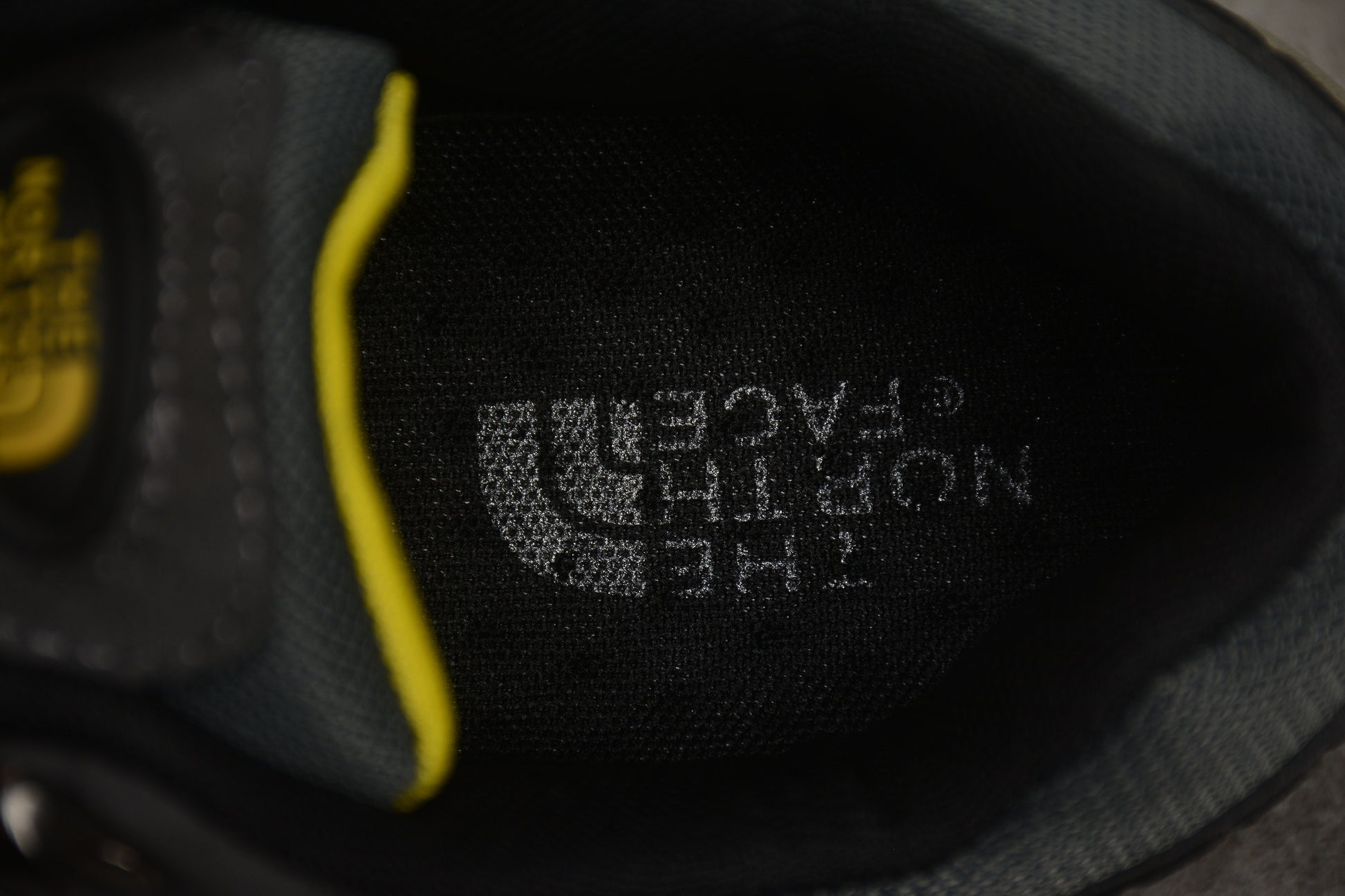 North Face Hedgehog Fastpack GTX Low - Best Reps Website 2025