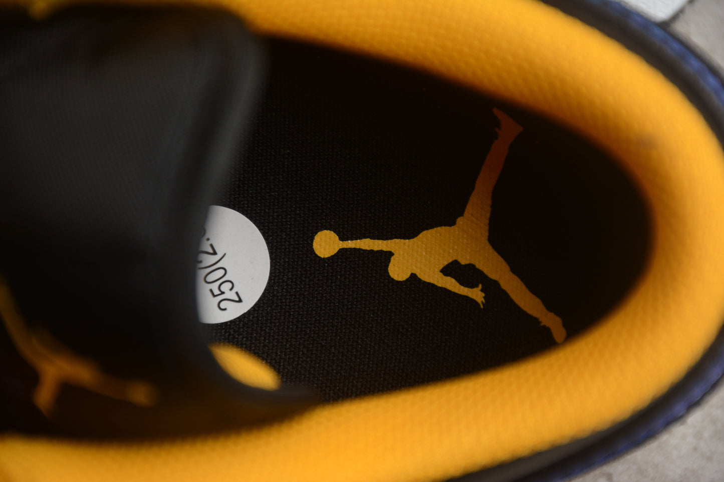 Air Jordan 1 Low "Dark Concord"