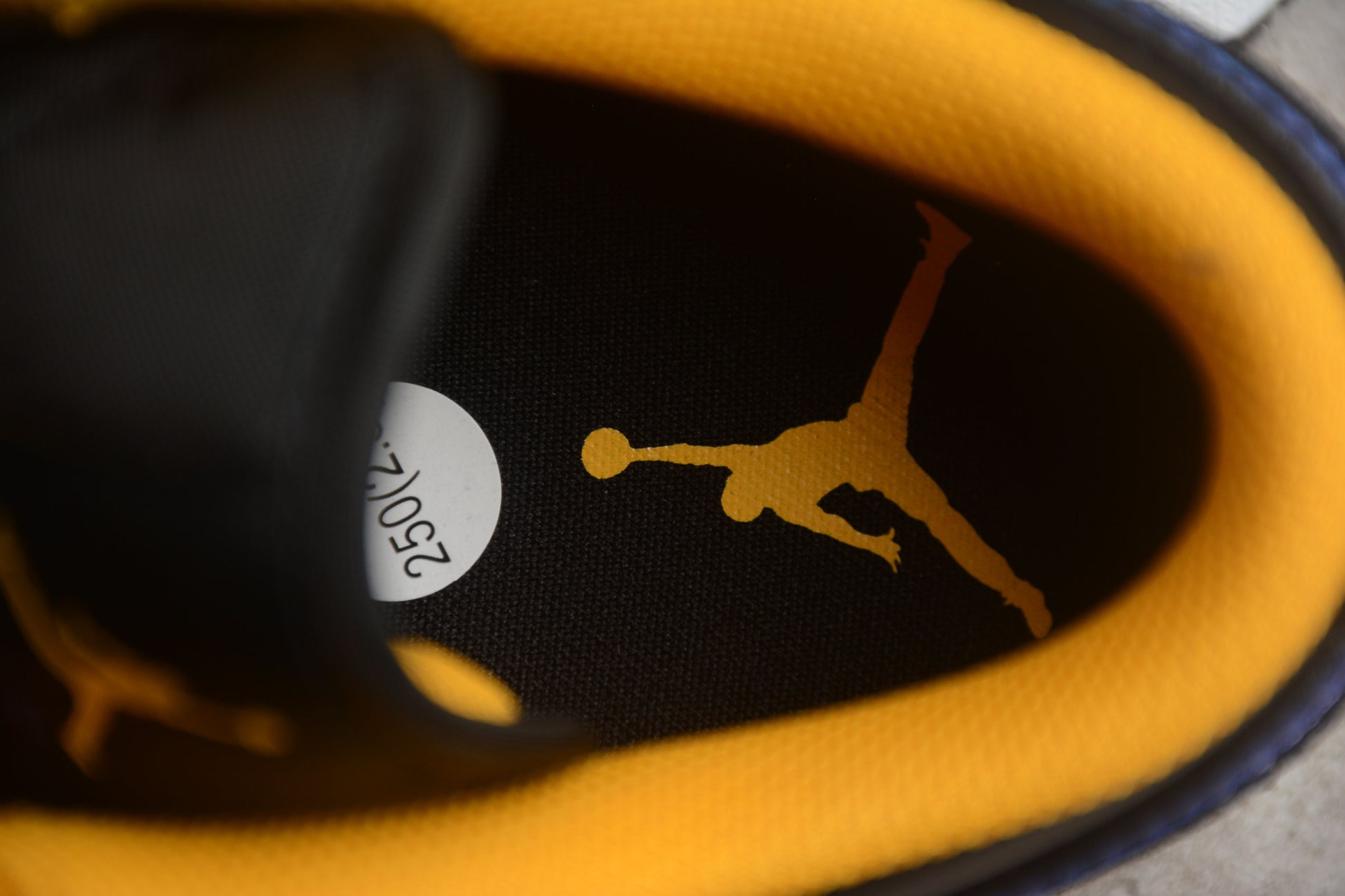 Air Jordan 1 Low "Dark Concord"